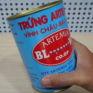 Trứng Artemia cho cá bột