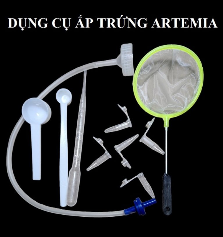 bộ ấp trứng artemia