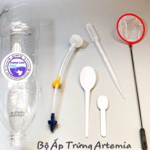 ấp trứng Artemia