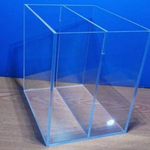 Hồ show cá Betta guppy