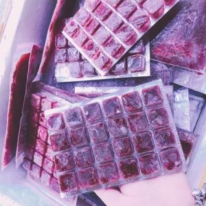 trùng huyết đông lạnh cho cá cảnh