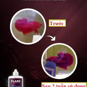 Công dụng thuốc Flare