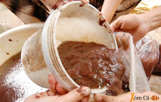 Trùn chỉ có tốt cho cá?