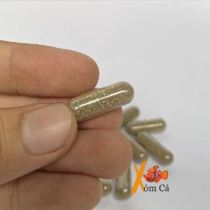 Viên Artemia nước ngọt