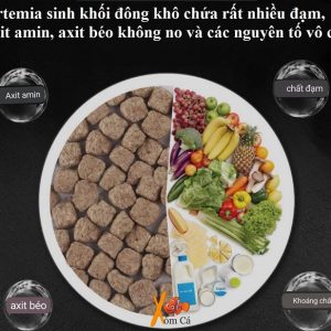 Viên artemia sinh khối đông khô
