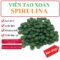 Tảo Viên Cho Cá, Tép – Thức Ăn Nuôi Artemia – Tảo Viên Spirulina